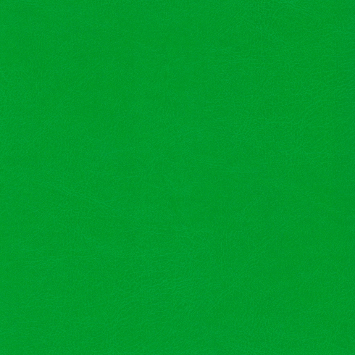 Belluno Apple Green - PMS 347C