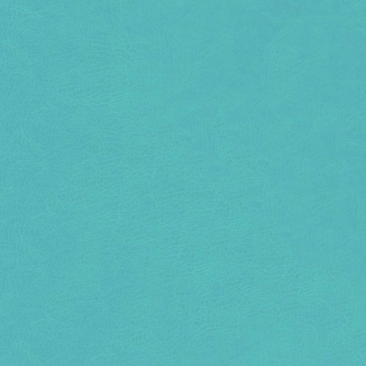 Belluno Egg Shell Blue - PMS 631C