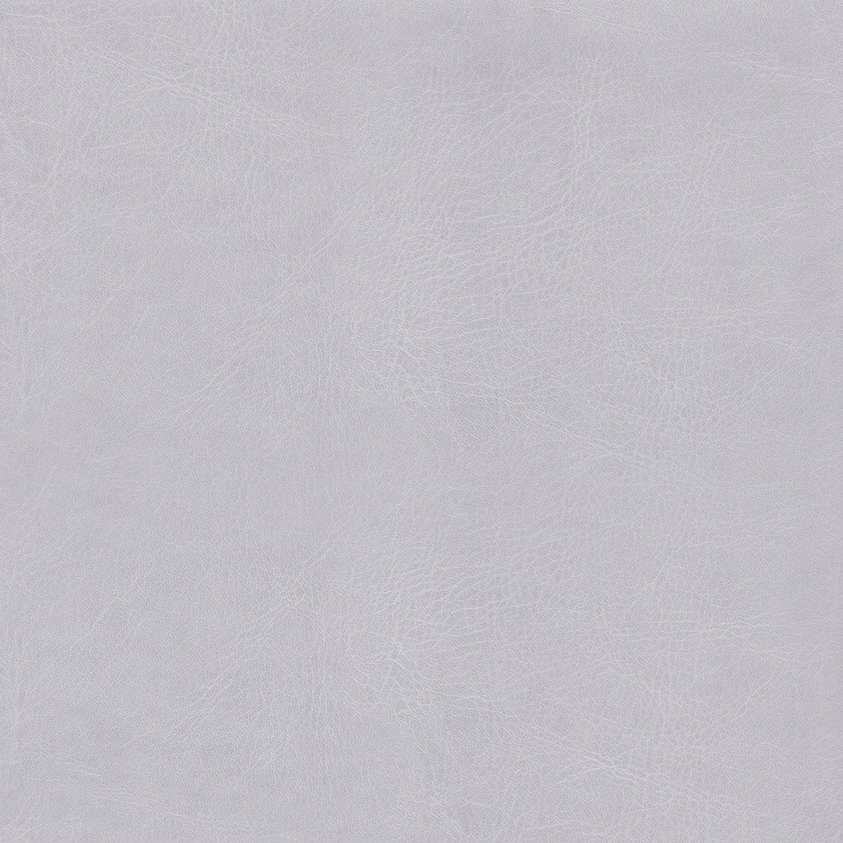 Belluno Light Grey - PMS 429C