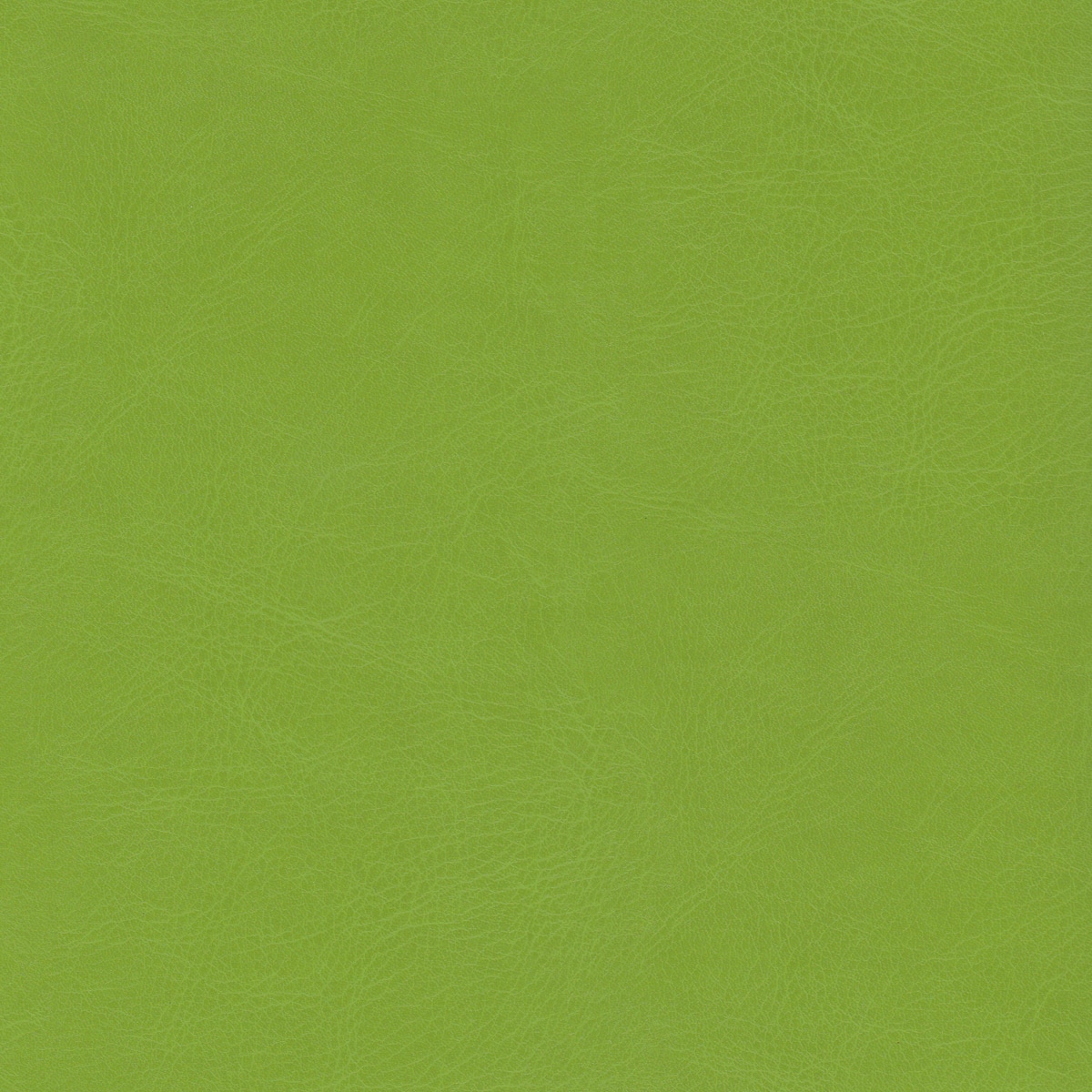 Belluno Lime - PMS 2276C