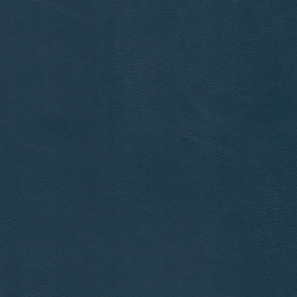 Belluno Mid Blue - PMS 2210C