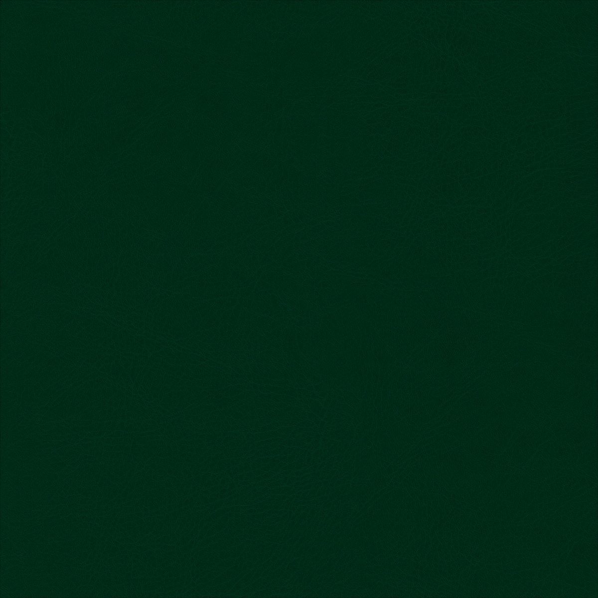 Belluno Mid Green - PMS 3435C