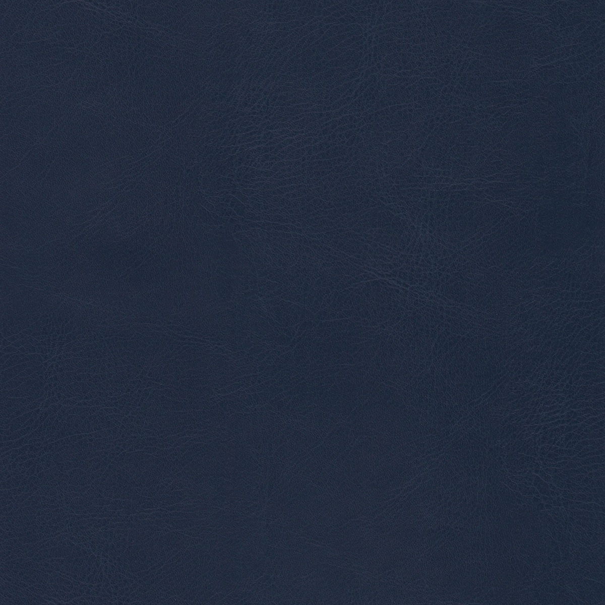 Belluno Navy - PMS 539C