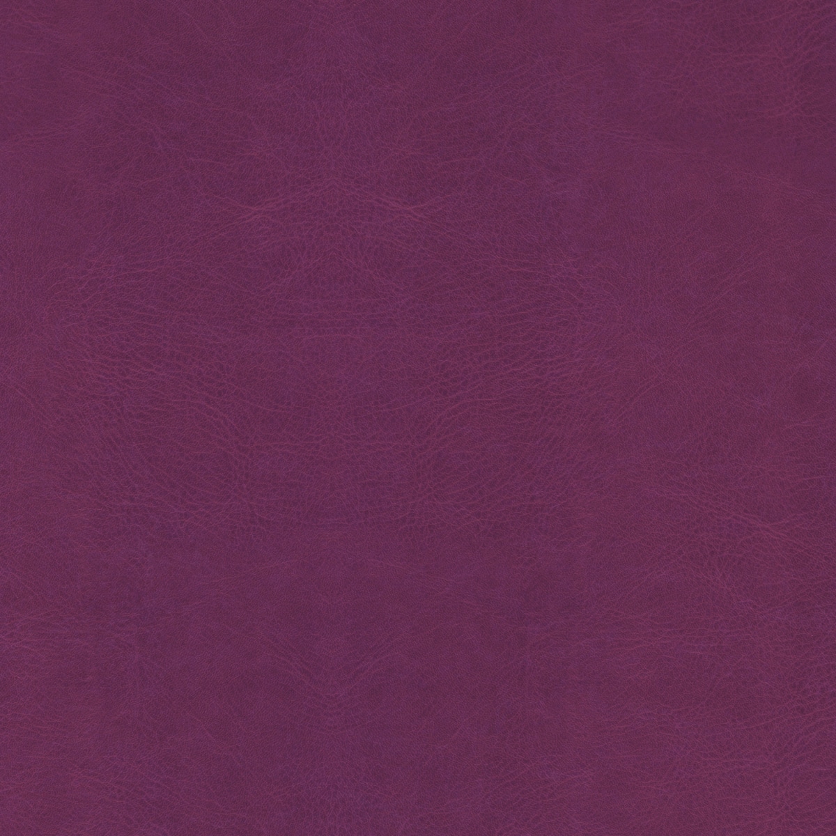 Belluno Plum - PMS 7650C