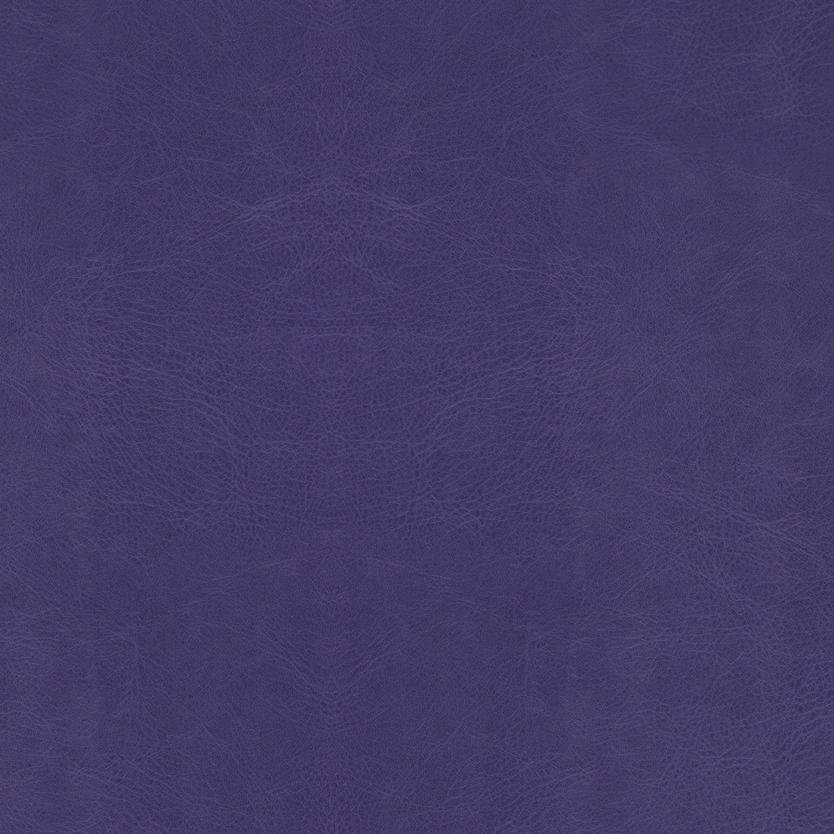 Belluno Purple - PMS 7672C