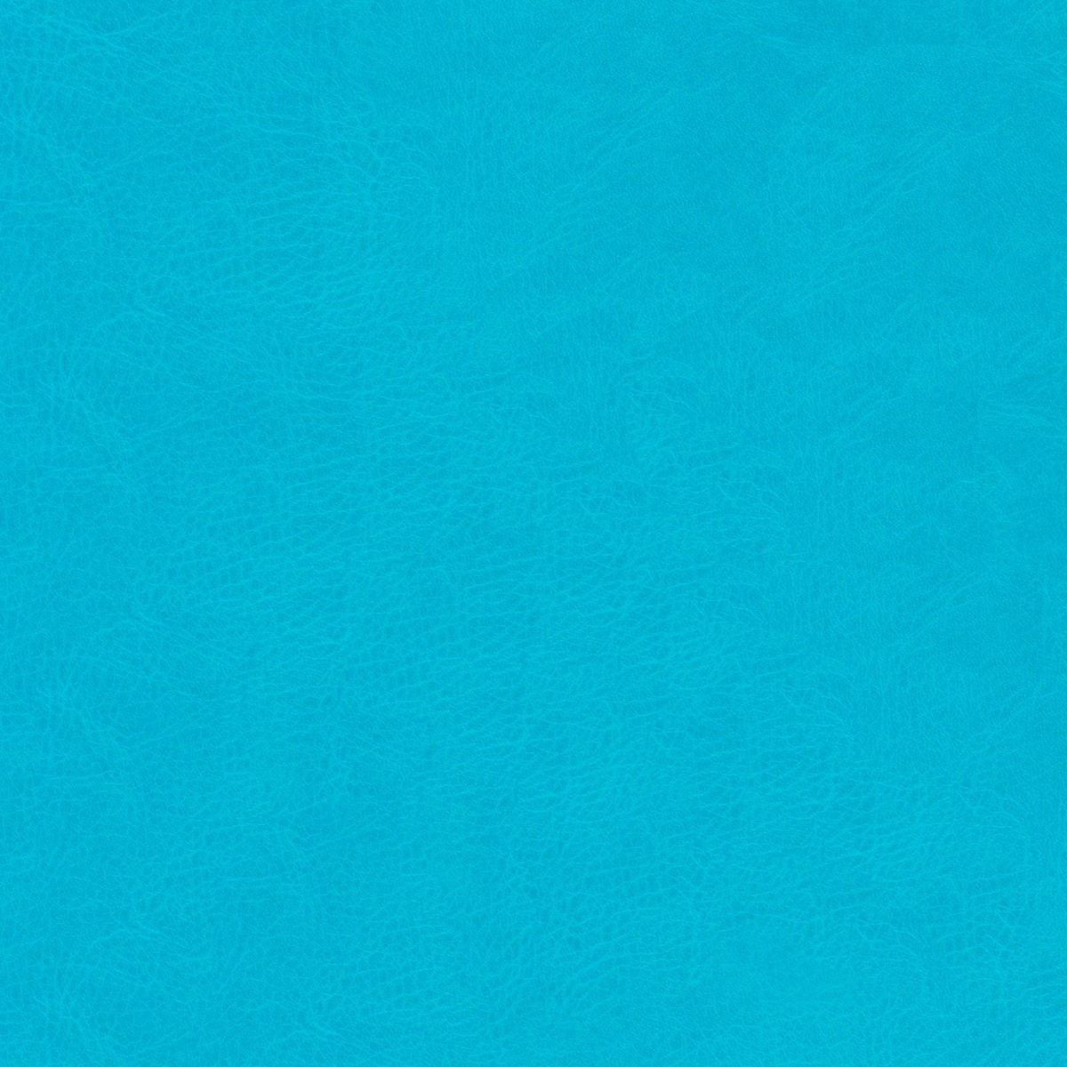 Belluno Sky Blue - PMS 2995C