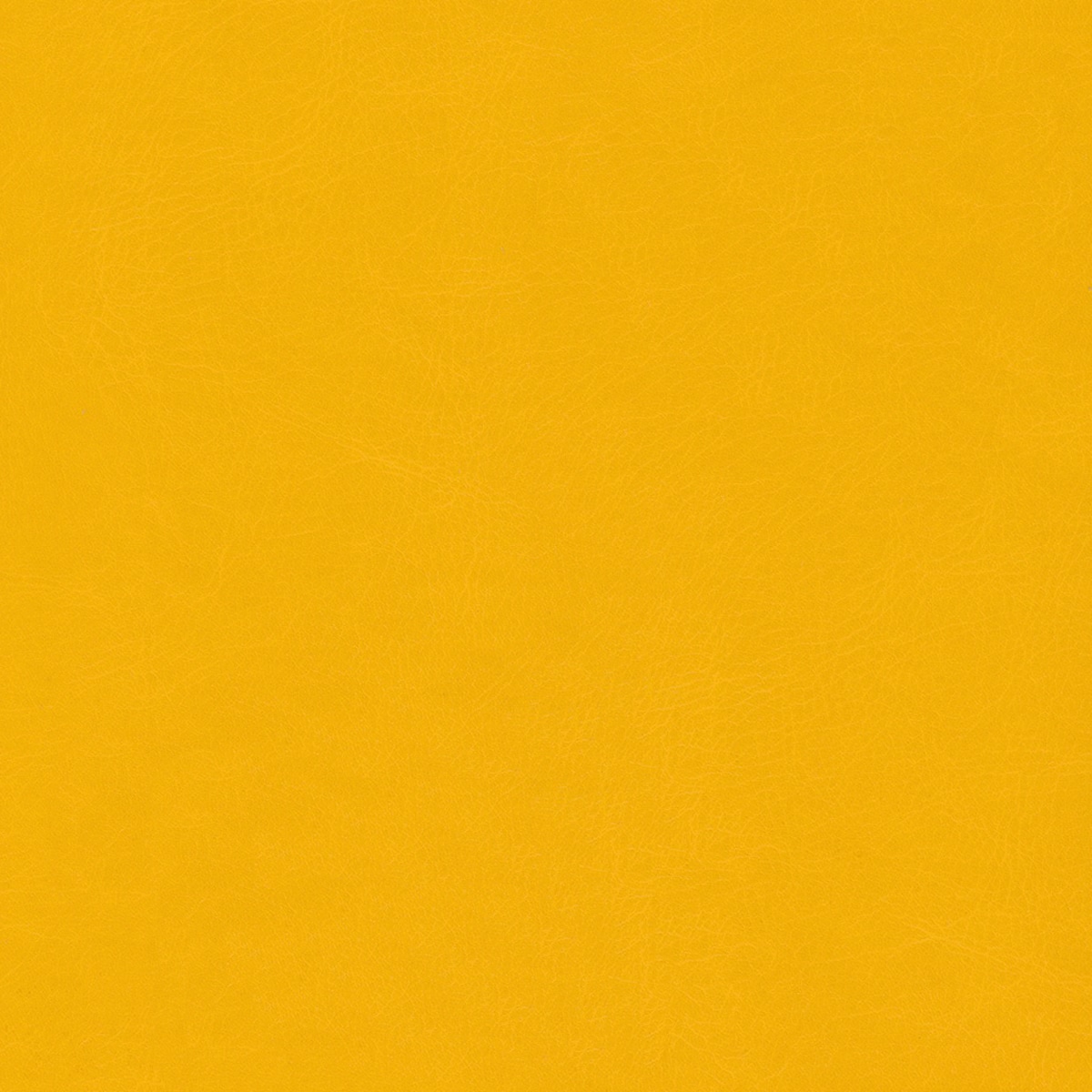 Belluno Mango - PMS 124C