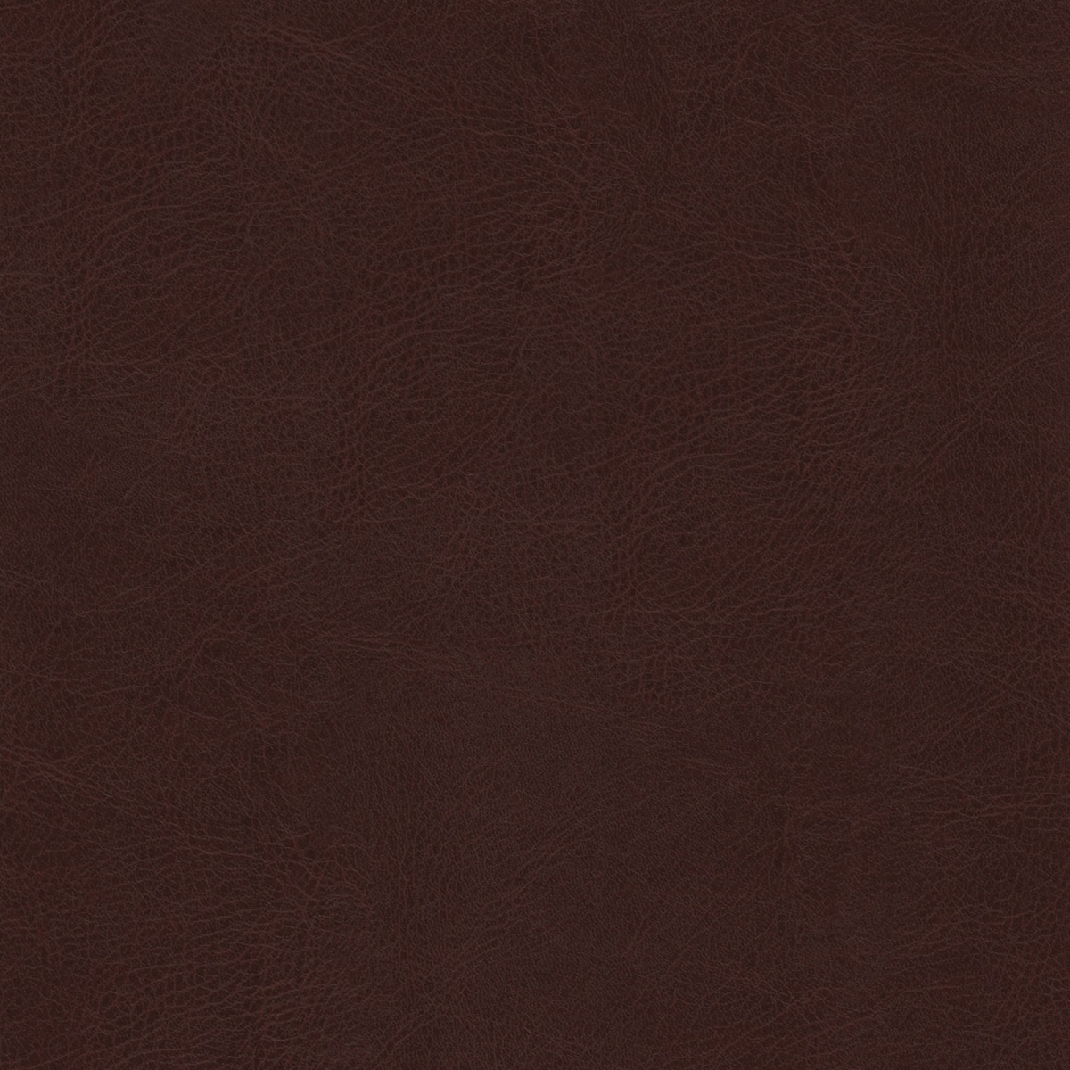 Chocolate Brown - PMS 2449C