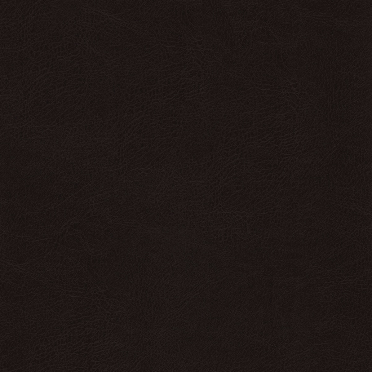 Belluno Black - PMS Black